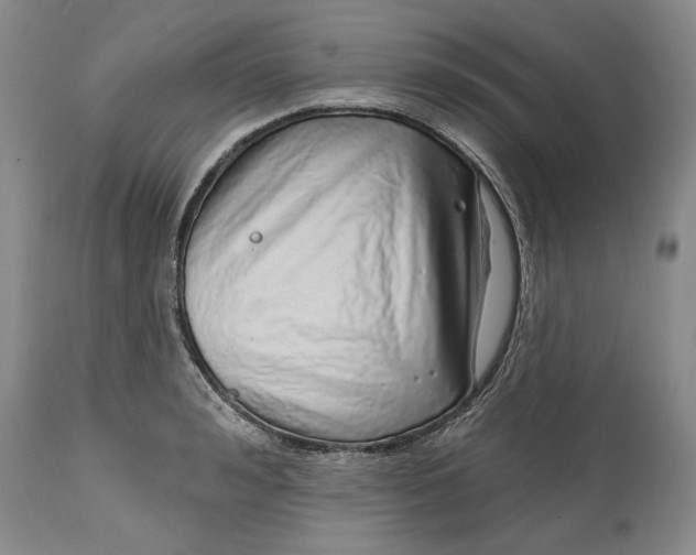 X0000114200992200910231339