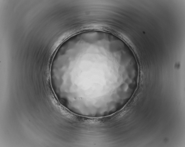 X0000114200994200910231339