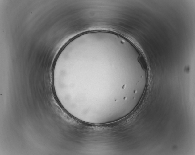 X0000114200996200910231339