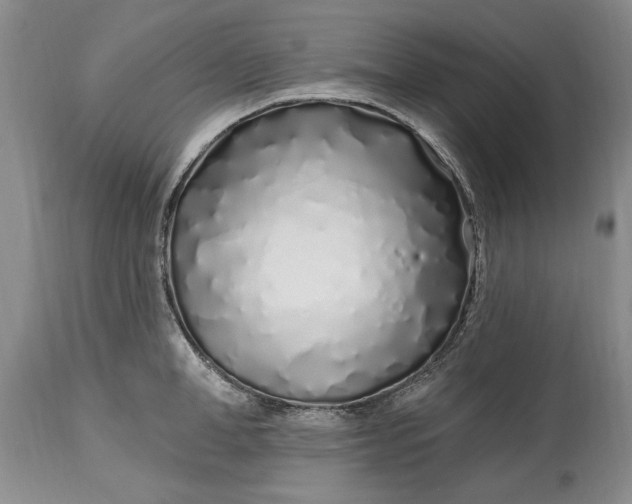 X0000114200998200910231339