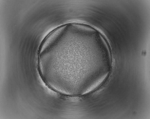 X0000114200999200910231339