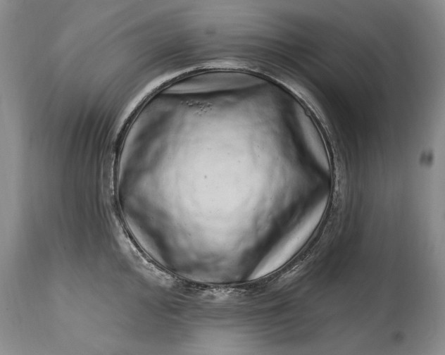 X0000114201000200910231339