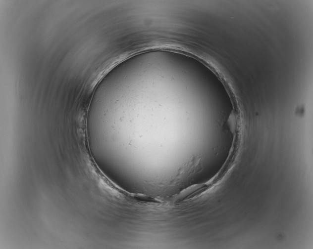 X0000114201001200910231339