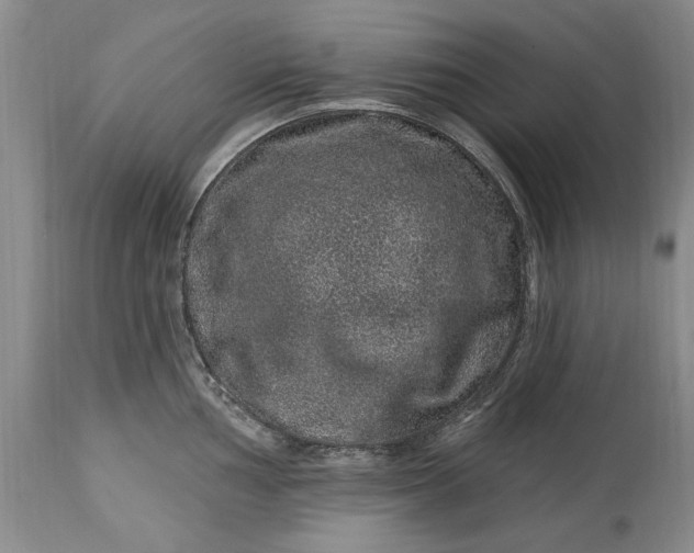 X0000114201002200910231339