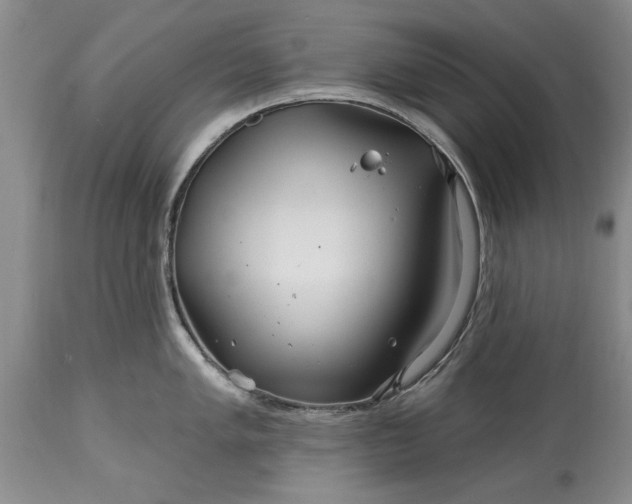 X0000114201005200910231339