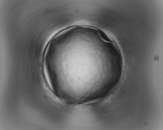 X0000114201008200910231339