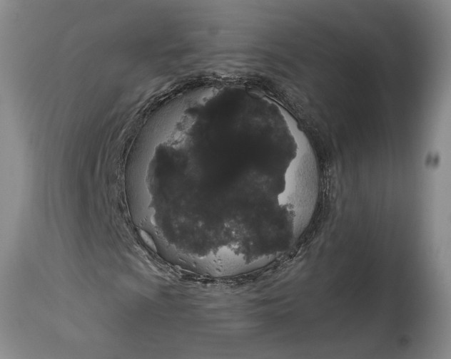 X0000114201009200910231338