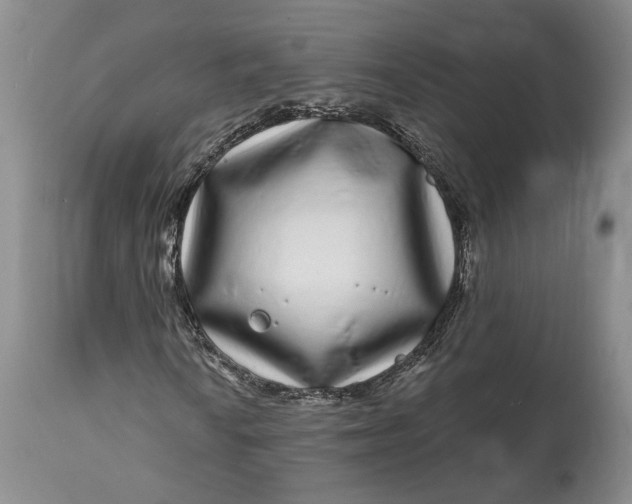 X0000114201010200910231338