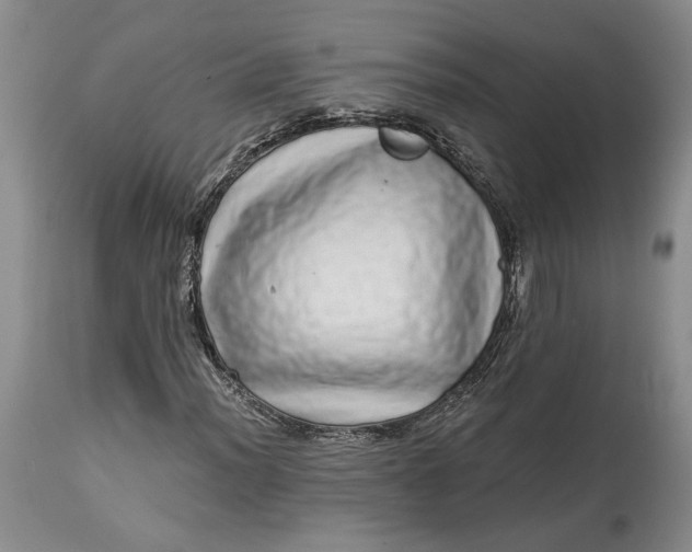 X0000114201012200910231338