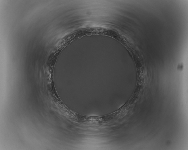 X0000114201013200910231338