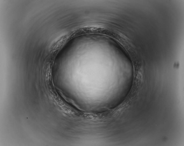 X0000114201014200910231338