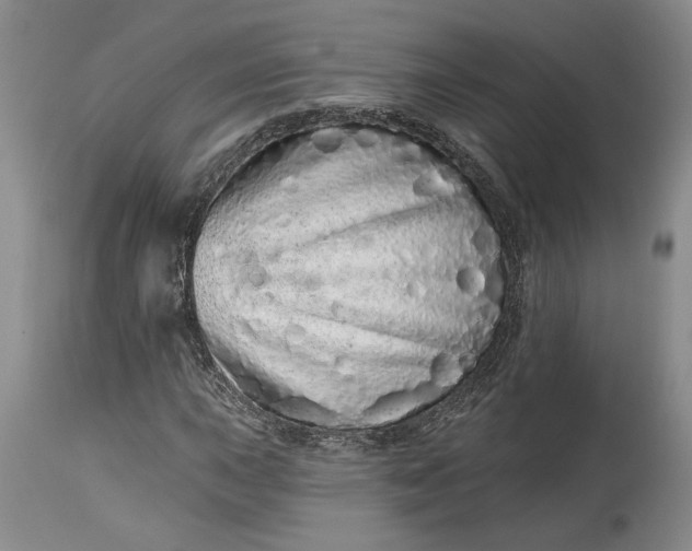 X0000114201015200910231338