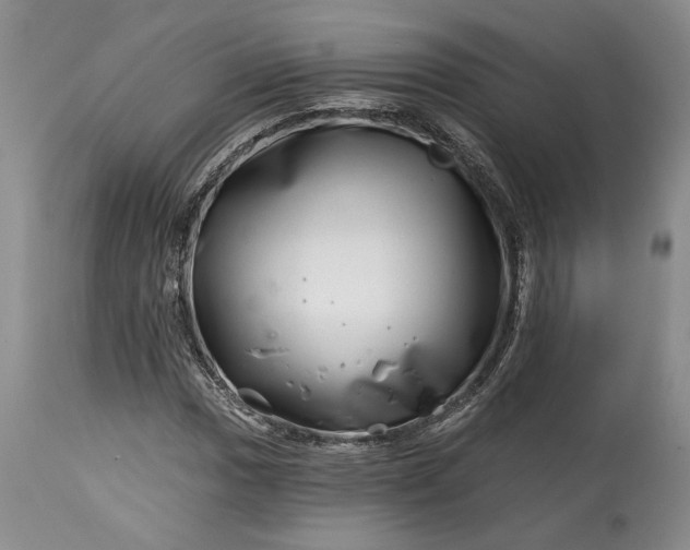 X0000114201017200910231338