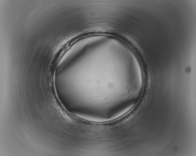 X0000114201018200910231338