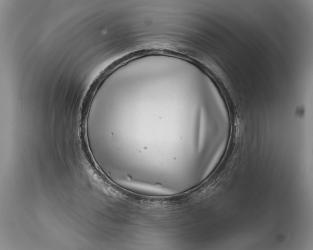 X0000114201020200910231338