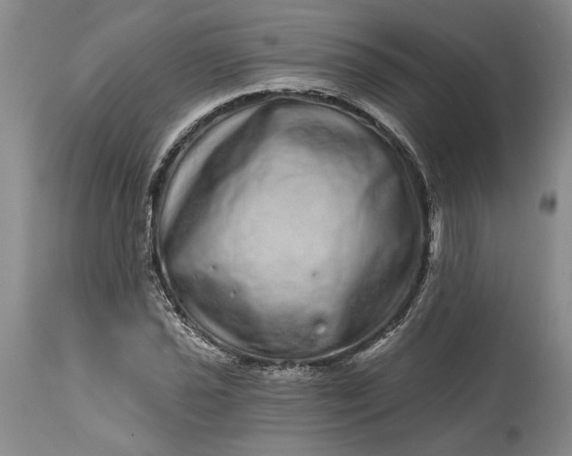 X0000114201021200910231338