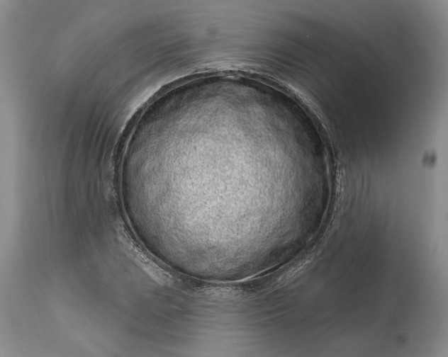 X0000114201023200910231338