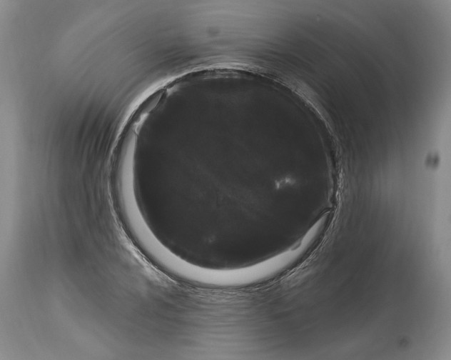 X0000114201024200910231338