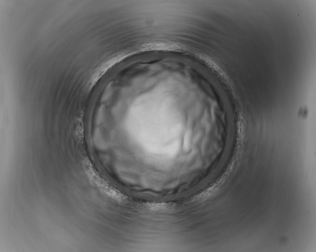 X0000114201025200910231338