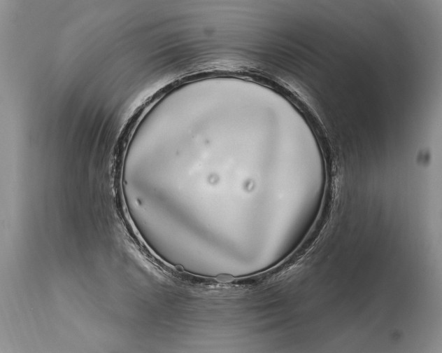 X0000114201026200910231338