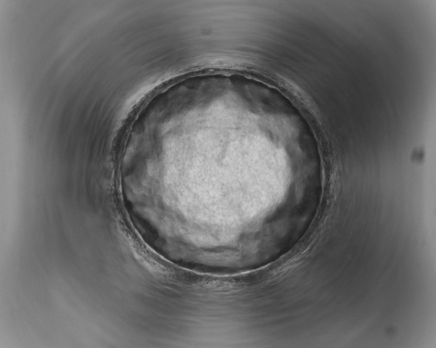 X0000114201027200910231338