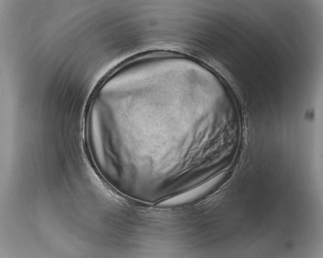 X0000114201028200910231338