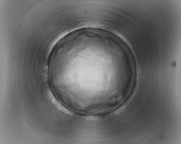 X0000114201029200910231338