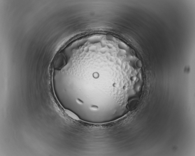 X0000114201031200910231339