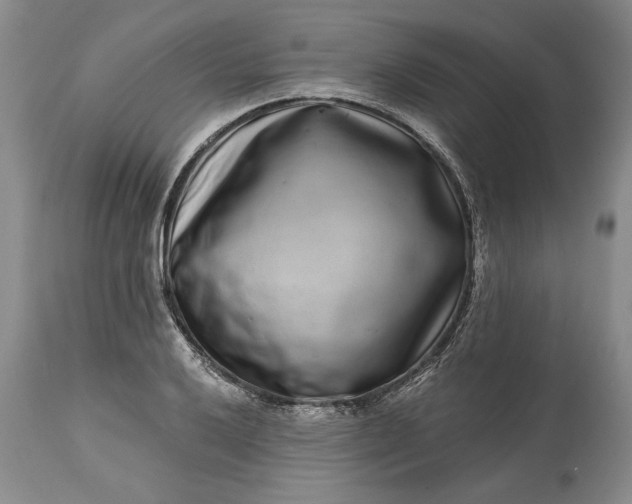 X0000114201032200910231339