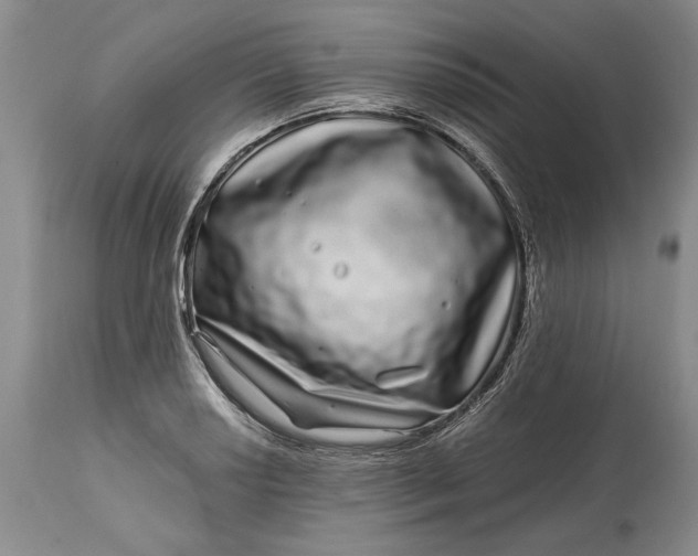 X0000114201034200910231339