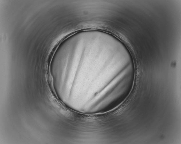 X0000114201035200910231339