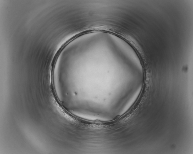 X0000114201036200910231339