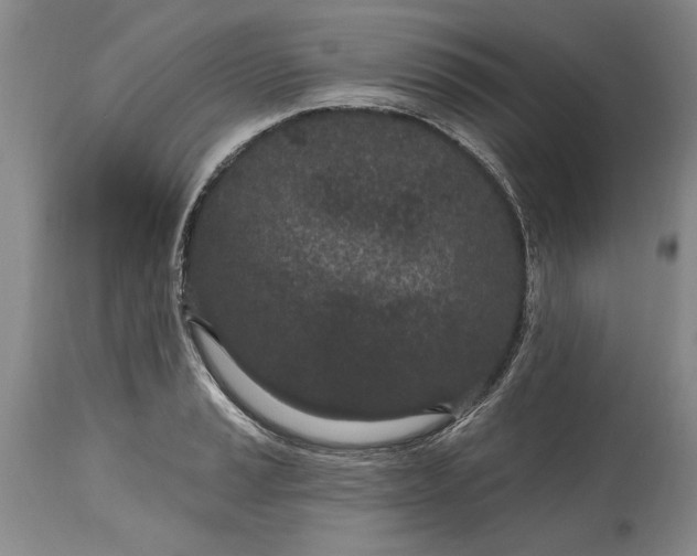 X0000114201037200910231339