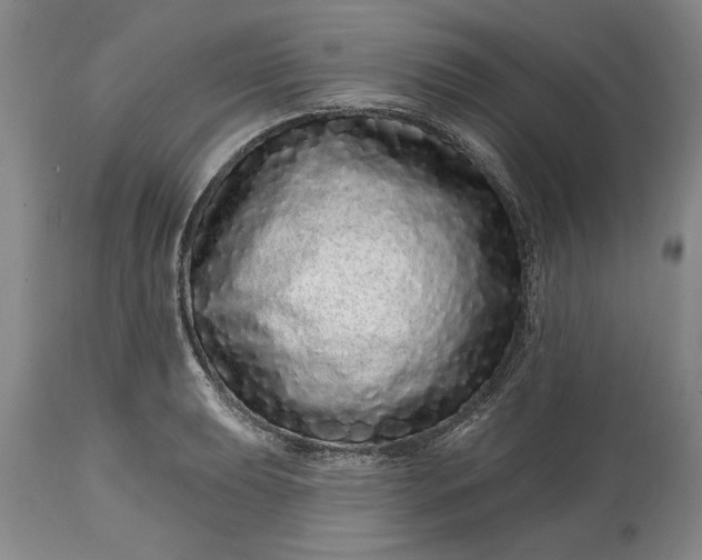 X0000114201039200910231339