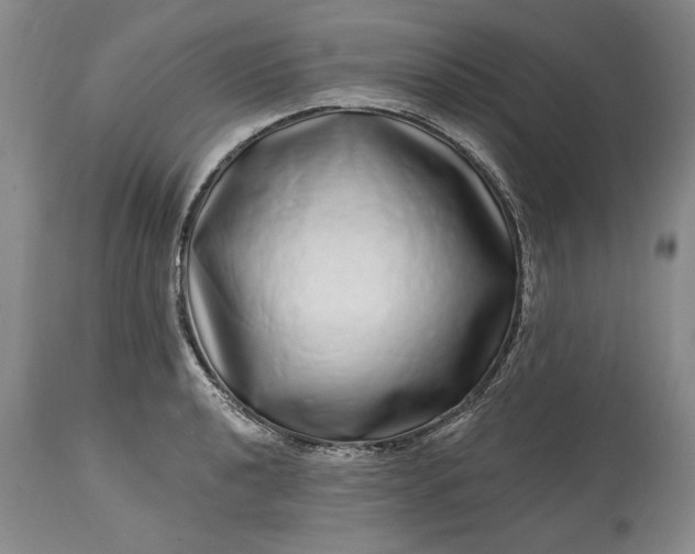 X0000114201040200910231339