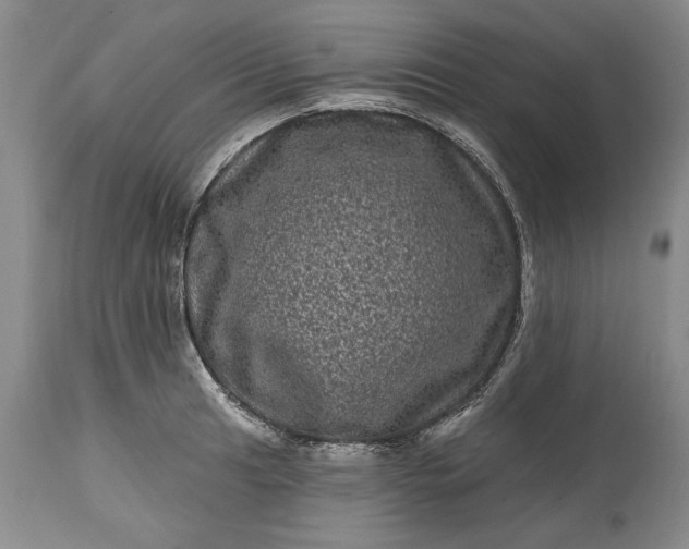 X0000114201041200910231339