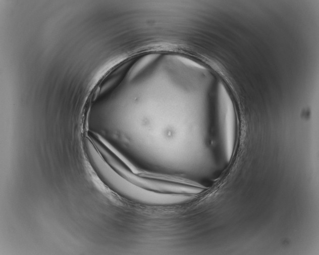 X0000114201042200910231339