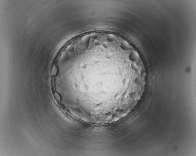 X0000114201043200910231339