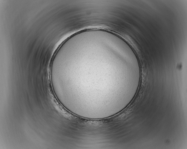 X0000114201044200910231339