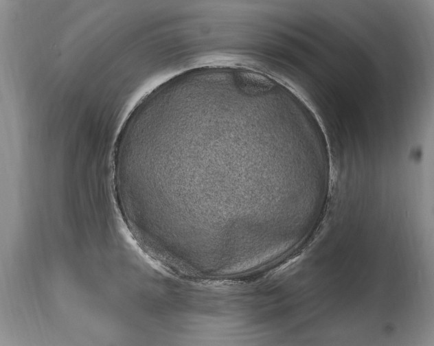 X0000114201045200910231339