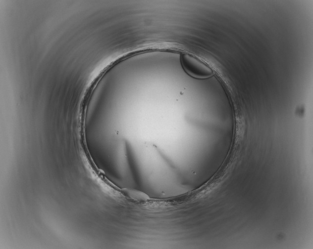 X0000114201046200910231339