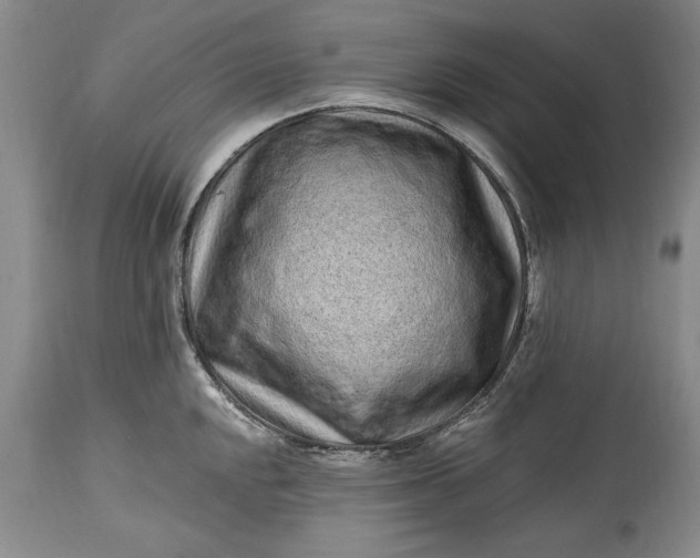 X0000114201048200910231339