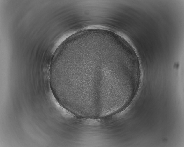 X0000114201049200910231339