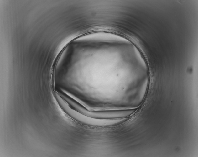 X0000114201050200910231339