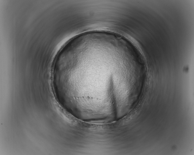 X0000114201051200910231339