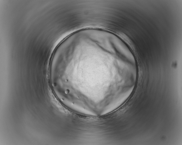 X0000114201052200910231339