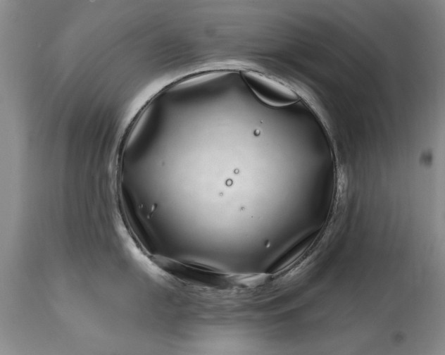 X0000114201054200910231339