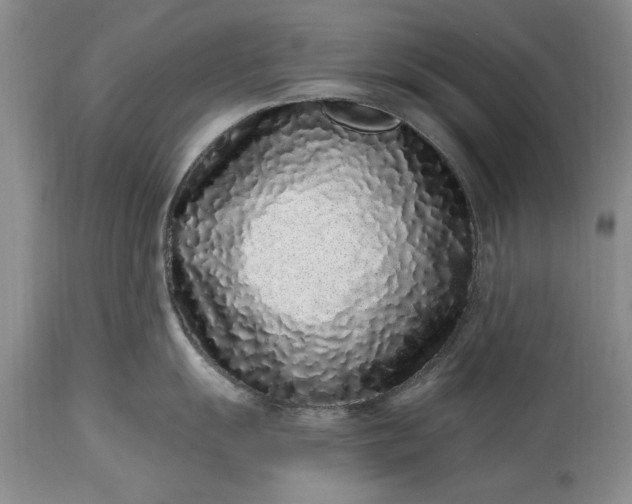 X0000114201055200910231339