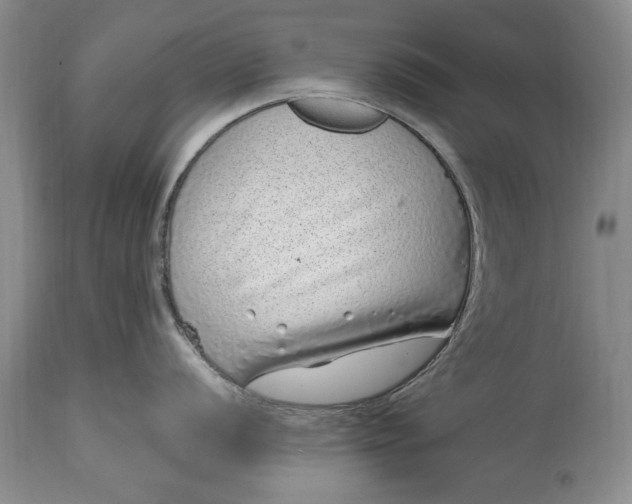 X0000114201056200910231339