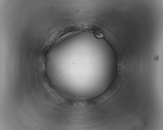 X0000114201058200910231338